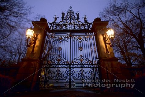 Gates of Belcourt Castle Scary Gate Entrance, Fairy Tale Homes, Gothic Forest, Gate Keeper, Foggy Night, Awesome Furniture, Castle Gate, Entrance Gate, Gothic Castle