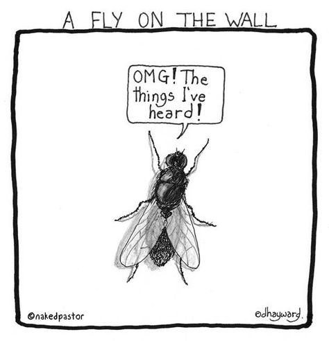 Ever Wished You Could be a Fly on the Wall? (For Designers Only) Fly On The Wall, A Thought, Wall Print, Bones Funny, Make Me Smile, Favorite Quotes, The Wall, I Laughed, Picture Video