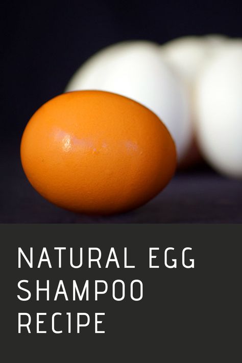 Egg Shampoo Recipes, Egg Shampoo, Low Thyroid Remedies, Diy Shampoo Recipe, Hair Conditioner Bar, Shampoo Bar Recipe, Baking Soda For Hair, Egg Benefits, Egg For Hair