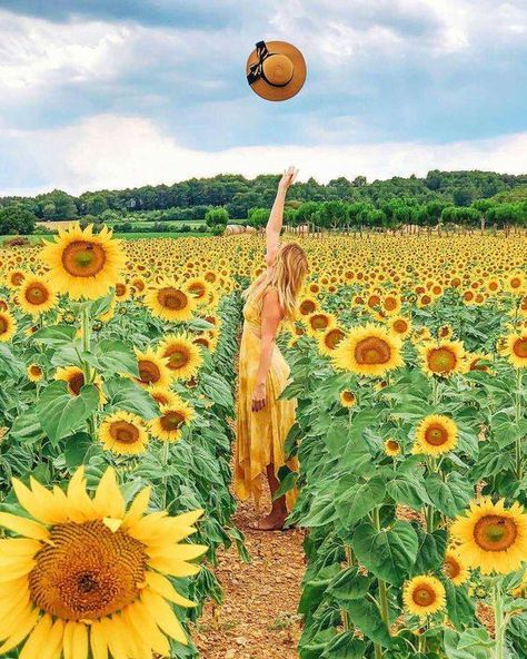 Sunflower Field Photography, Sunflower Field Pictures, Get Paid To Travel, Paid To Travel, Sunflower Photography, Photo Dream, Sunflower Photo, Catalonia Spain, Sunflower Pictures