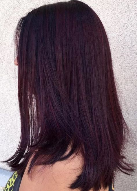 Dark Burgundy And Violet Hair Dark Violet Hair, Free Hairstyles, Pelo Color Vino, Shades Of Burgundy Hair, Dark Burgundy Hair, Red Violet Hair, Burgundy Hair Color, Maroon Hair, Dark Purple Hair