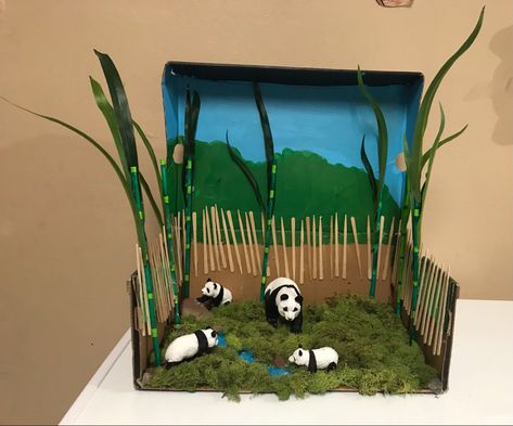 Panda Habitat Project For Kids, Panda Habitat Project, Diorama Ideas For Kids School Projects Shoe Box Animal Habitats, Panda Diorama, Wolf Habitat Diorama, Zebra Habitat Diorama, Panda 3d, Habitat Project, Panda Habitat