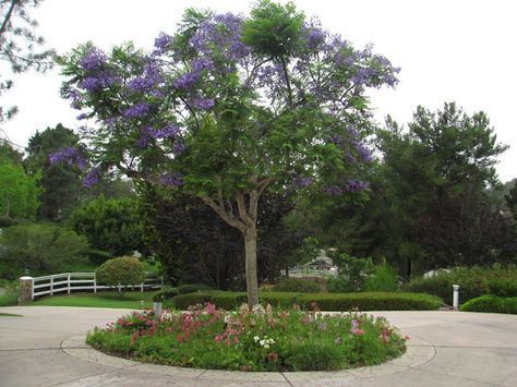 Cottage Driveway, Circle Driveway Landscaping, Circle Driveway, Driveway Entrance Landscaping, Circle Drive, Small Yard Landscaping, Driveway Design, Driveway Landscaping, Design Circle