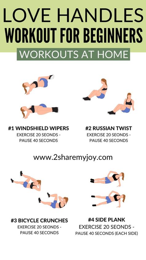 Russian Twist Exercise, Handles Workout, Get Rid Of Love Handles, Rid Of Love Handles, Hiit Exercises, How To Start Exercising, Healthy Meal Plan, Beginner Workout At Home, Bed Workout