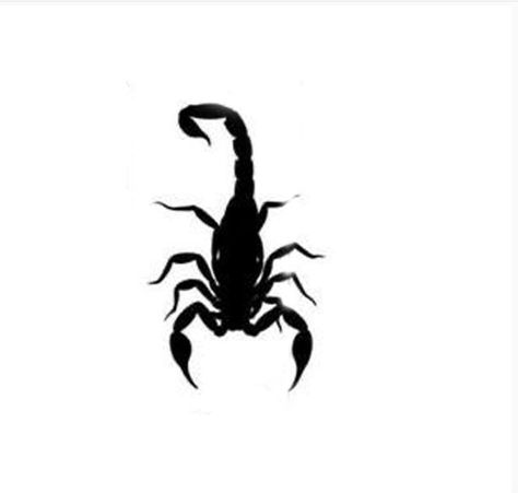 Cool Stencils, Scorpio Tattoo, Scorpion Tattoo, Petite Tattoos, Wolf Tattoo Design, London Tattoo, Tattoo Portfolio, Dark Tattoo, Wolf Tattoo