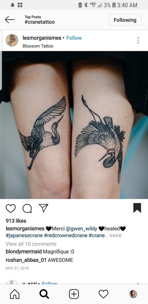 Crane Wife Tattoo, 2 Cranes Tattoo, Dancing Crane Tattoo, Crane Leg Tattoo, Korean Crane Tattoo, Whooping Crane Tattoo, Two Cranes Tattoo, Crane Tattoo Back, Chinese Crane Tattoo