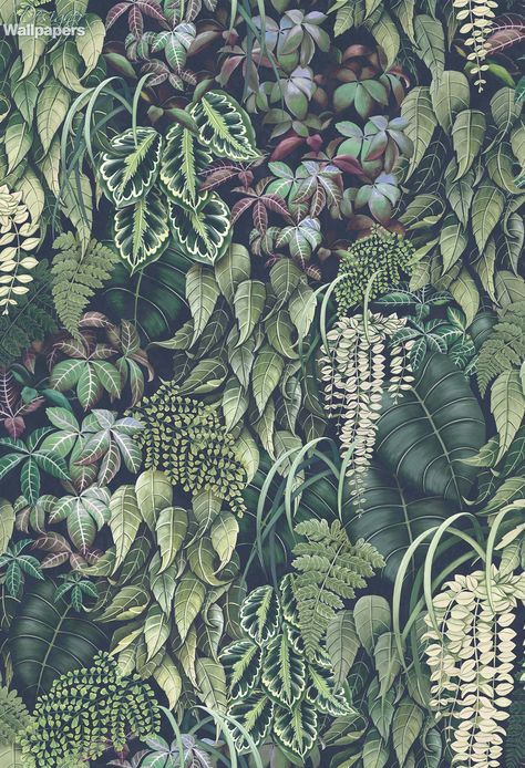 Confirmation Wallpaper, Osborne And Little Wallpaper, Bathroom Fittings, How To Hang Wallpaper, Teal Wallpaper, Jungle Wallpaper, Order Confirmation, Tropical Wallpaper, Botanical Wallpaper