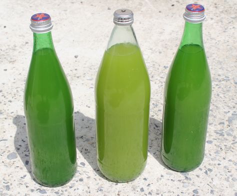 Lime Liqueur Recipe, Homemade Liqueur Recipes, Making Limoncello, Limoncello Recipe, Homemade Alcohol, Homemade Liquor, Liquor Recipes, Liqueurs Recipes, Homemade Wine