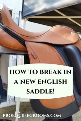 How do you break in your new english saddle? https://www.proequinegrooms.com/tips/saddles-and-bridles/breaking-in-a-new-english-saddle English Horseback Riding, Working Student, Equestrian Saddle, Horse Information, Riding Habit, Riding Clothes, Equestrian Chic, English Horse, Horse Equipment