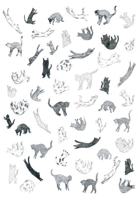 Animal Illustration Art, Cat Motif, Cat Fabric, Cat Cards, Cats Illustration, Cat Wallpaper, Cat Illustration, Cat Tattoo, Kids Prints