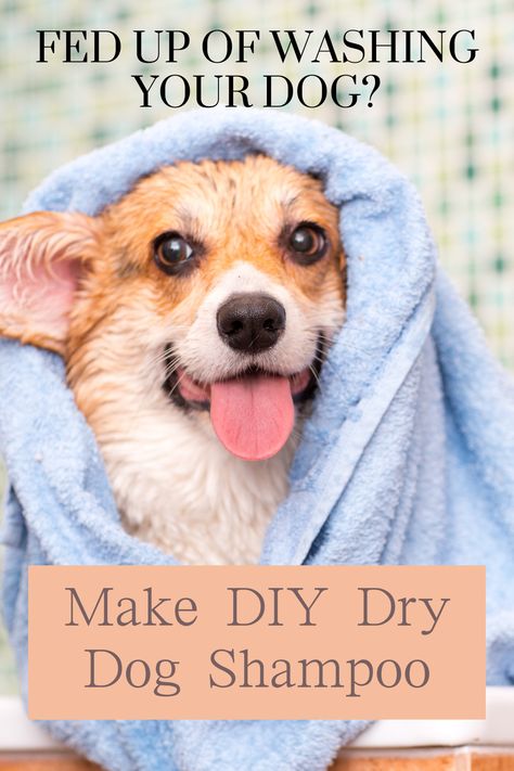 It's really easy to make dry dog shampoo so that you don't have to bath your dog so often. With a few household ingredients you can make chemical free dog shampoo at home, at little expense. Take the stress out of grooming with our helpful tips. Dog Shampoo Homemade, Dry Shampoo For Dogs, Dog Deodorizer, Flea Shampoo For Dogs, Dog Odor Eliminator, Diy Dog Shampoo, Homemade Dog Shampoo, Dog Grooming Tubs, Dog Diy