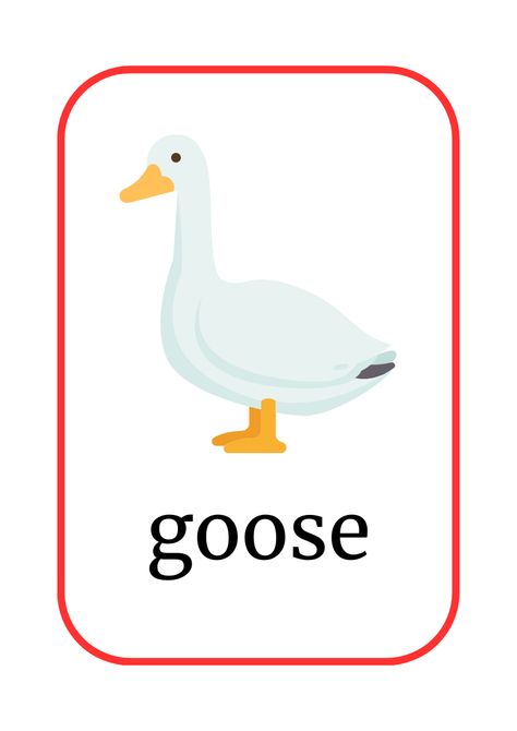 #goose #farmanimals #flashcards #preschool English Flashcards, Farm Books, Duck And Ducklings, Circle Time Activities, Animal Flashcards, Flashcards For Kids, Kids Crafts, Farm Animals, Kindergarten