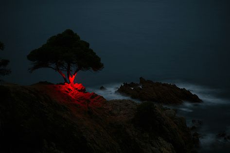 nicolas-rivals-la-linea-roja-installation-nature-long-exposure-light-designboom-02 Aldo Van Eyck, Line Photography, Albert Bierstadt, René Magritte, Richard Serra, Jasper Johns, Geometric Lighting, French Photographers, Red Line