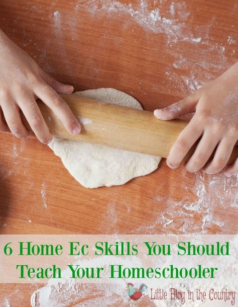 Home Economics Lessons High Schools, Economics Lessons High School, Homeschool Unit Study Ideas, Unit Study Ideas, Lesson Plan Ideas, Economics Lessons, Studying Food, Diy Bird Bath, Kids Cooking Recipes