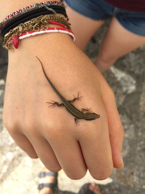 Herpetology Aesthetic, Reptile Tattoo, Gecko Tattoo, Lizard Tattoo, Pretty Animals, Silly Animals, Granola Girl, Mother Nature, Reptiles