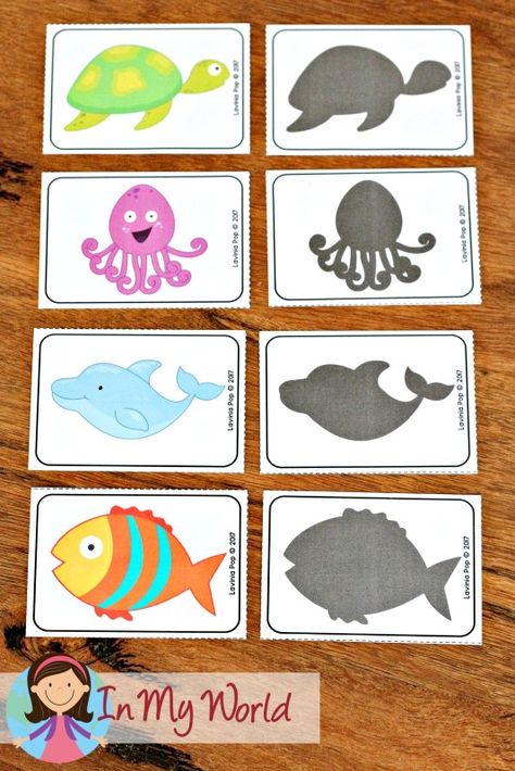 Ocean Activities Preschool, Ocean Preschool, Shadow Activities, Preschool Ocean, Ocean Theme Preschool, Shadow Matching, Fish Activities, Sea Activities, Kindergarten Freebies