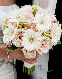 gerbera & rose bouquet | tracy gibbons | Flickr White Gerber Daisy Bouquet, Gerber Daisy Bouquet, Daisy Wedding Flowers, Spring Wedding Bouquets, Daisy Bouquet, Gerber Daisies, Gerbera Daisy, Bouquet Of Flowers, Bride Bouquets