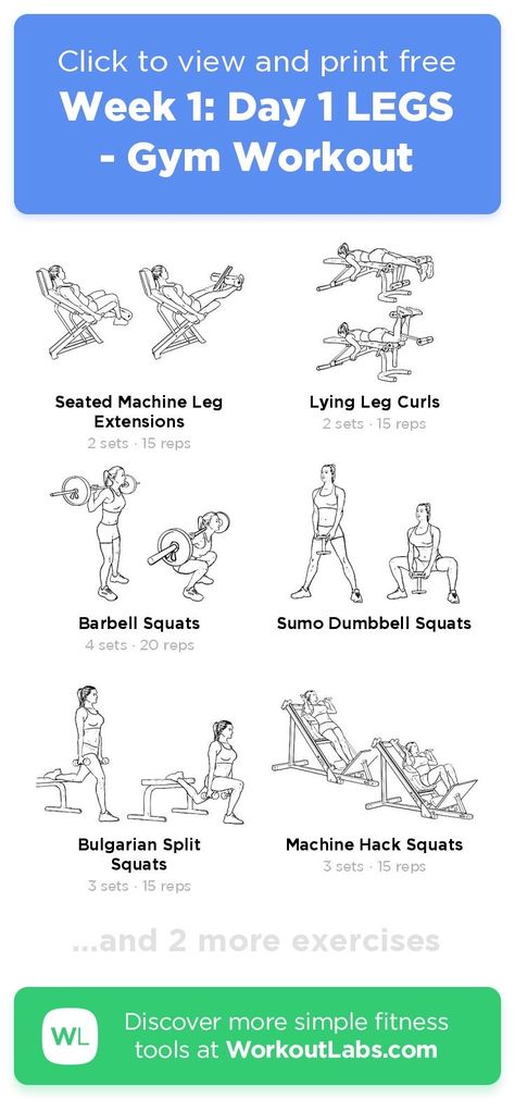 Leg Day Beginner Gym, Leg Day Workout At The Gym Beginners, Leg Day Workout At The Gym, Gym Workout Schedule, Beginner Leg Workout, Workoutlabs Fit, Quick Full Body Workout, Vegan Kimchi, Gym For Beginners