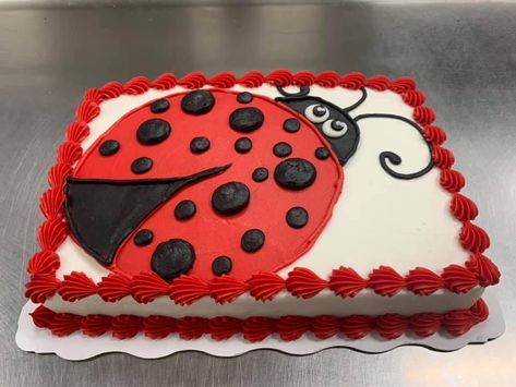 Ladybug Sheet Cake Ideas, Ladybug Sheet Cake, Ladybug Birthday Cake Ideas, Ladybug Cake Ideas, Ladybug Birthday Cake, Ladybug Girl, Ladybug Cakes, Bug Cake, Ladybug Cake