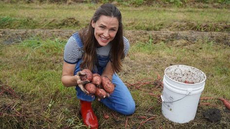 Actress, businesswoman, mother and ambassador Jennifer Garner drew inspiration from an old family recipe for her latest sweet potato blend that will give back to feed hungry children. Thyroid Healing Foods, Butter Squash Recipe, Jennifer Gardner, Once Upon A Farm, Sweet Potato Pudding, Baking Bad, Potato Pudding, Candy Yams, Pie Flavors