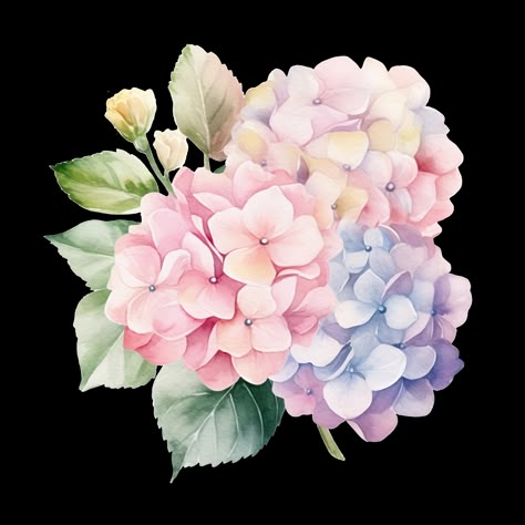 Pink hydrangea bouquet