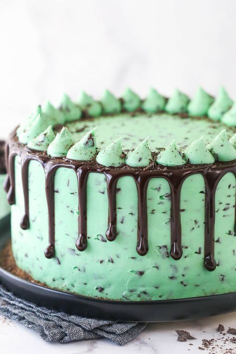 The Best Mint Chocolate Cake - A Mint Lover's Dream Dessert Mini Chocolate Cheesecakes, Super Moist Chocolate Cake, Dream Dessert, Mint Chocolate Ice Cream, Mint Chocolate Cake, Mint Cake, Chocolate Cake Designs, Chocolate Bundt Cake, Cake Layers