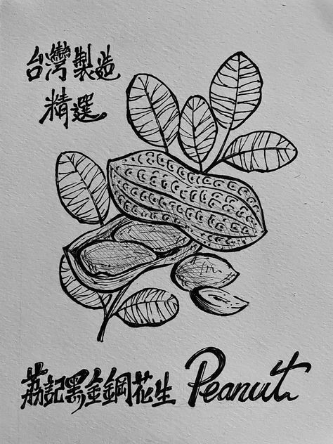 Peanut Plant Tattoo, Peanut Tattoo, 2024 Tattoo, Plant Tattoo, Design Drawings, Tattoo Design Drawings, Body Mods, Diy Kitchen, Journal Ideas