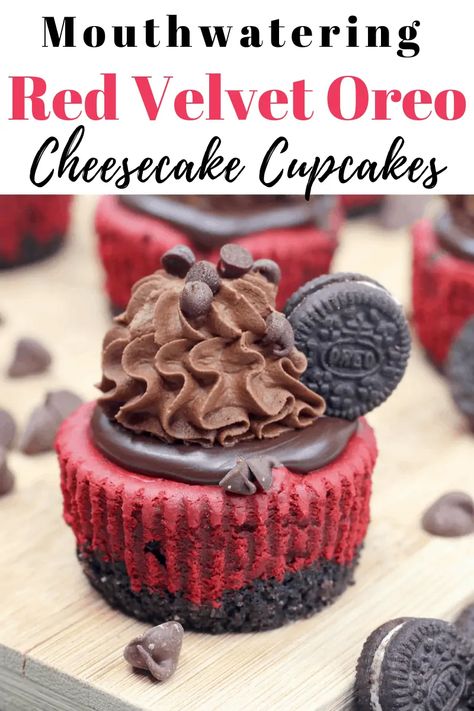 Red Velvet Oreo Cheesecake, Red Velvet Cheesecake Cupcakes, Oreo Cheesecake Cupcakes, Velvet Recipes, Cheesecake Cupcakes Recipe, Red Velvet Oreo, Petting Farm, Desserts Cupcakes, Mini Cheesecake Recipes