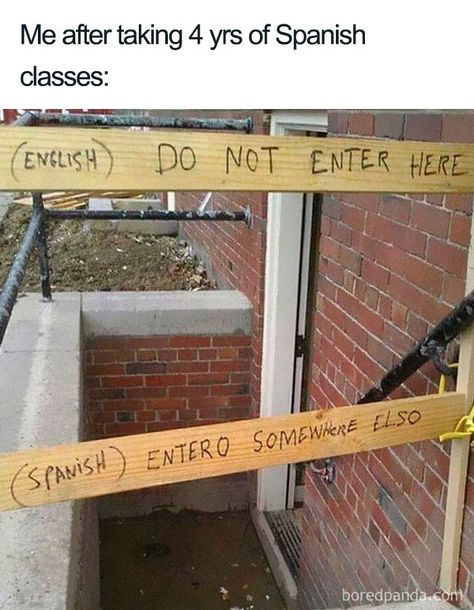 30 Funniest Memes About Spanish Language For People That Tried Learning It Funny Memes Images, Crush Memes, Girl Memes, Friend Memes, Spanish Humor, Spanish Memes, Daily Funny, Anime Memes Funny, Disney Memes