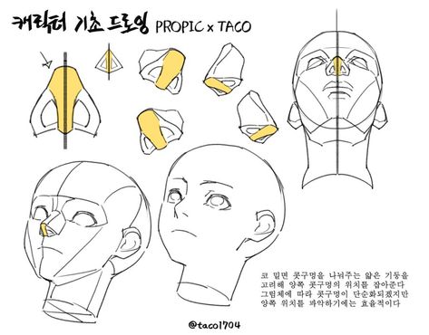 Even if the nostrils are simplified, it is easier to express the area under the nose or both nostrils by considering the central pillar at the base of the nose. 얼굴 드로잉, Drawing Heads, Anime Tutorial, Nose Drawing, Manga Drawing Tutorials, Anatomy Sketches, Body Reference Drawing, Anatomy For Artists, 캐릭터 드로잉