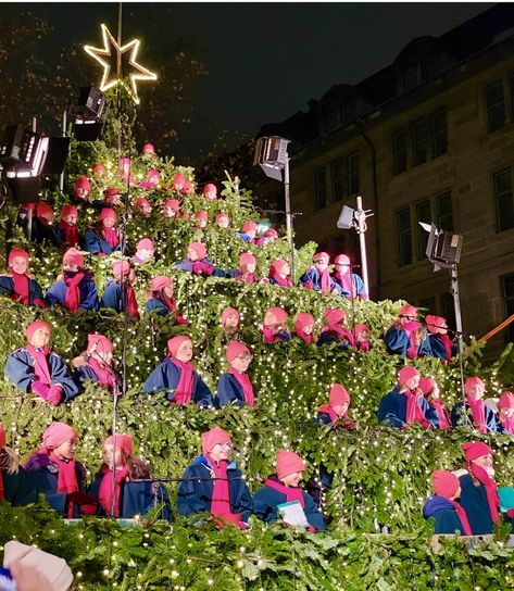 Zurich's Singing Christmas Tree 2022 Christmas Tree 2022, Christmas Tree 2023, Singing Christmas Tree, 25 Year Anniversary, 23 December, December 2023, November 23, Zurich, Year Anniversary