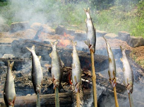 Cooking Fish-On-A-Stick the Easy Way Camper Food, Cooking Fish, Bushcraft Skills, Fish Sticks, Water Tribe, How To Cook Fish, Fire Cooking, Fishing Supplies, Very Scary