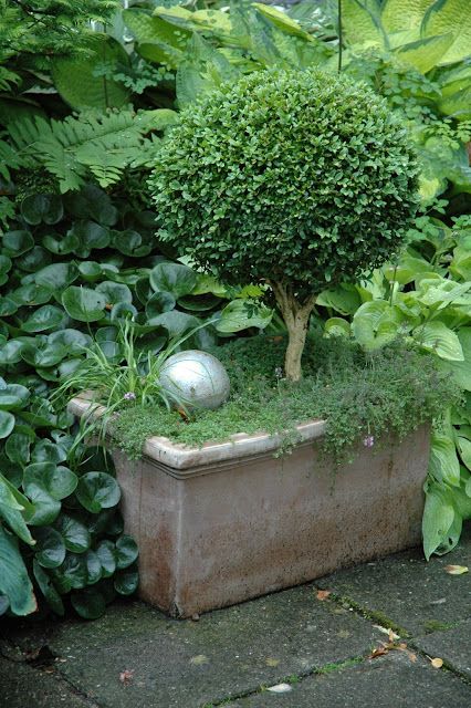 HAVETID: Planter i potter og skåle. Sissinghurst Castle, Zen Rock Garden, Small Courtyard Gardens, Hosta Gardens, Minimalist Garden, Garden Solutions, Garden Crafts Diy, Have Inspiration, Garden Deco