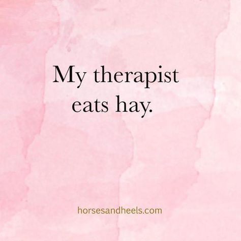 Equestrian Memes, Equine Quotes, Horse Quotes Funny, Horse Jokes, Inspirational Horse Quotes, Background Instagram, Horse Riding Quotes, Equestrian Quotes, Riding Quotes