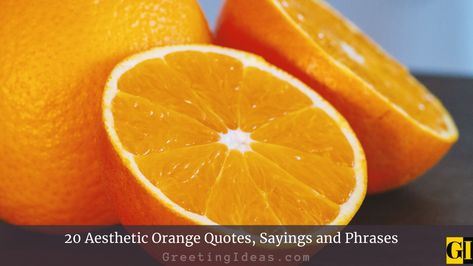 We hope reading our aesthetic, and joyful Orange quotes and sayings bring sunshine, warmth, radiance, and inner harmony to your life. #quotes ##quote #motivational #inspiration Quotes About Oranges Fruit, Orange Fruit Quotes, Orange Sayings, Fruit Quotes, Orange Quotes, Lauren Oliver, Terrence Howard, 20 Aesthetic, Aesthetic Orange