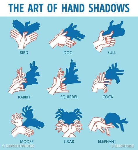 Hands Shadow, Shadow Animals, Flying Bird Vector, Shadow Puppets With Hands, Hand Tricks, Hand Shadows, Shadow Theatre, Cool Minecraft Creations, Creative Poses