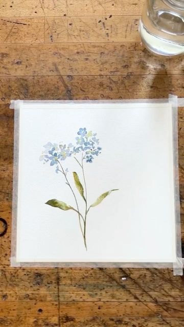 Forget Me Not Watercolor Painting, Forget Me Not Painting, Forget Me Not Watercolor, Frame Watercolor, Antique Frame, Forget Me Nots, Antique Frames, Forget Me Not, Drawing Inspiration