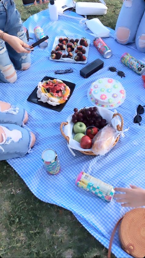 Light Blue Picnic Aesthetic, Blue Theme Picnic, Blue Picnic Aesthetic, Purple Picnic, Healthy Picnic, Picnic Inspo, Blue Picnic, Picnic Birthday Party, Birthday Picnic