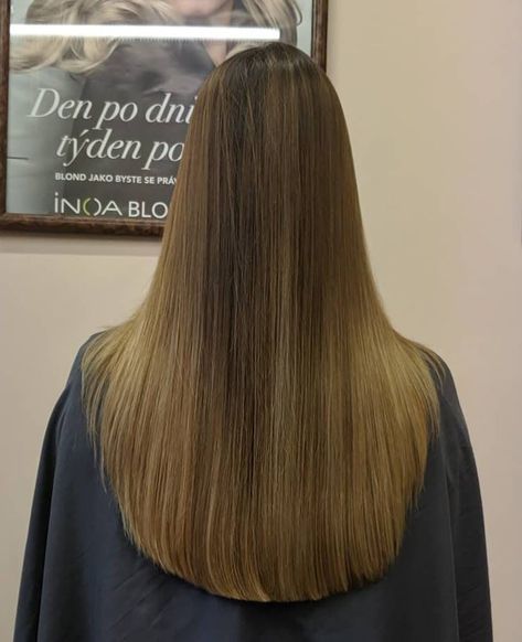 rounded haircut hair Triangle Haircut, Round Haircut, One Length Haircuts, One Length Hair, Rambut Brunette, Extension Hair, Brown Hair Inspo, Straight Hair Cuts, Hairdo For Long Hair