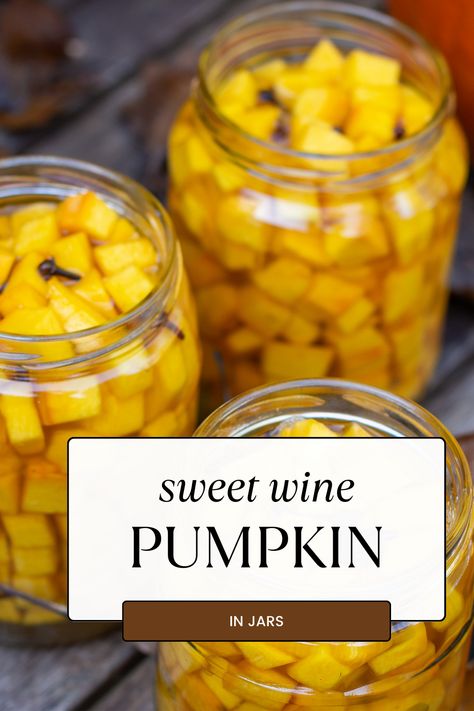 Get ready to swoon over this Sweet Wine Pumpkin in Jars recipe that's taking Pinterest by storm! 🍁🎃 Perfect for cozy evenings and festive get-togethers, this pumpkin in jars recipe is your new go-to autumn delight. Follow us for more! 🍂 Pumpkin Preserves Recipes, Pumpkin Wine Recipe, Persimmon Wine Recipe, Pumpkin Beer Recipes, Wine Pumpkin, Meat Sandwiches, Pumpkin Wine, Wine Recipe, Winter Dinner