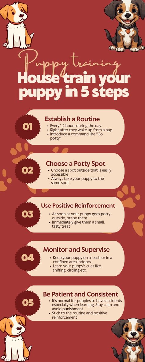 Stop Puppy Biting, Puppy Training Biting, Positive Dog Training, Puppy Biting, Puppy Training Tips, Happy Puppy, Training Your Puppy, Pet Care Tips, Puppy Care