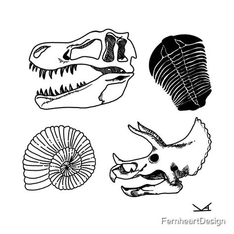 Four fossils- Tyrannosaurus Rex skull, Trilobite, Ammonite, and Triceratops skull. Trilobite Embroidery, Fossil Embroidery, Triceratops Skull Tattoo, Trilobite Tattoo, Fossil Tattoo, Tyrannosaurus Rex Skull, Triceratops Skull, Fossil Art, Embroidery Jeans Diy