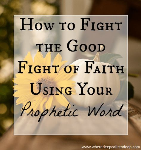 What is a Prophetic Word and How to Apply it Red Survive Said The Prophet, Writing Prophecies, How To Write A Prophecy, Prophetic Word For Today, Prophet Sayings, Deep Calls To Deep, Prophetic Word, Deeper Conversation, Love Your Family