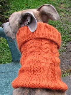 Gorgeous Greyhounds: Knitting Patterns for Charity Greyhound Sweater, Snood Knitting Pattern, Dog Knitting, Italian Greyhound Clothes, Charity Knitting, Sashay Yarn, Snood Pattern, Clothes For Dogs, Greyhound Rescue