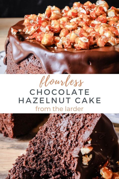 Decadent Chocolate Hazelnut Cake on a plate Gluten Free Chestnut Cake, Cake On A Plate, Foods That Contain Gluten, Chocolate Hazelnut Cake, Gluten Free Chocolate Cake, Flourless Cake, Chocolate Torte, Hazelnut Cake, Nut Recipes