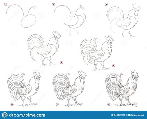 Educational page for children shows how to create step by step a pencil drawing of rooster.. Illustration about children, gradually, black, farm, create, page, draw - 149072835 Rooster Printable, Chicken Drawing, Beginner Sketches, Rooster Painting, Rooster Art, Animation Art Sketches, Art Drawings Sketches Pencil, Chicken Art, Doodle Lettering