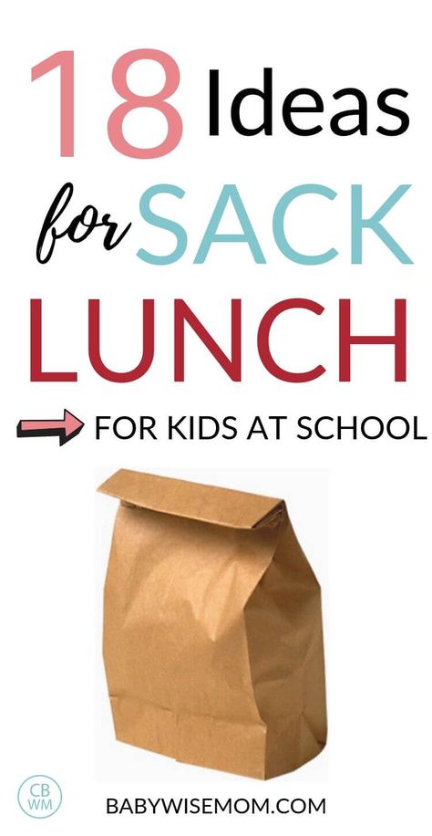 Healthy Sack Lunch Ideas For Adults, School Sack Lunch Ideas, Sack Dinner Ideas, Kids Sack Lunch Ideas, Healthy Sack Lunch Ideas, Field Trip Sack Lunch Ideas, Brown Bag Lunch Ideas For Adults, School Lunch Ideas For Teachers, Brown Bag Lunch Ideas Field Trip