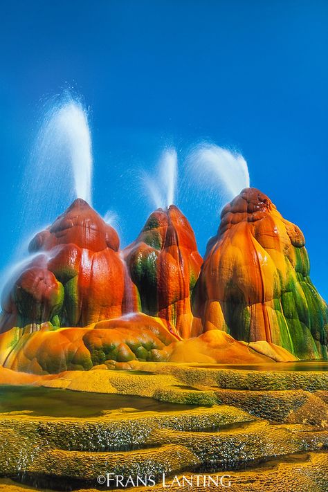 Spewing geysers, Great Basin, Nevada, USA Fly Geyser, Frans Lanting, National Geographic Photographers, Black Rock Desert, Nevada Travel, Geothermal Energy, Pamukkale, Alien Planet, Geology