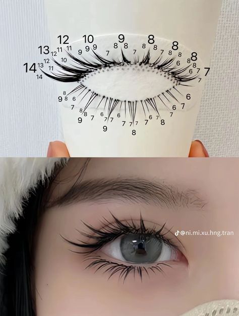 Butterfly Eyelashes Extensions, Foxy Eyelashes Extensions, Manga Style Lashes, Manga Lashes Lash Map, Lashes For Small Almond Eyes, X Mas Makeup Look, Manga Lashes Mapping, Manga Lashes Map, Eyelash Extension Ideas