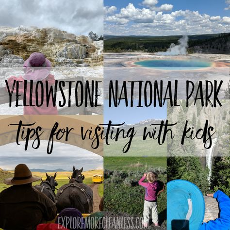 Yellowstone With Kids, Yellowstone National Park Itinerary, Yellowstone Vacation Planning, Yellowstone Road Trip, National Parks With Kids, Yellowstone National Park Vacation, Yellowstone Vacation, Lamar Valley, National Park Itinerary